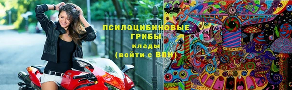 спиды Абинск